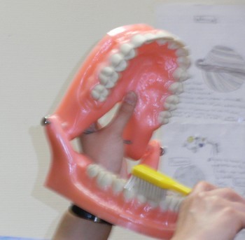 Vive les dents Vive les dents