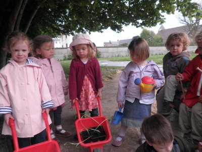 Les graines ont poussé! Les graines ont poussé!