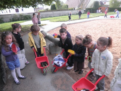 Les graines ont poussé! Les graines ont poussé!