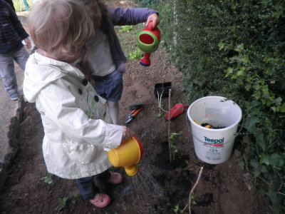 Les graines ont poussé! Les graines ont poussé!