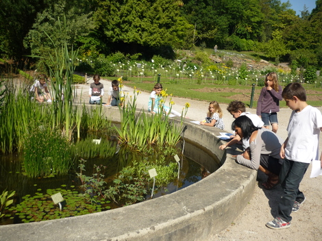 Sortie scolaire au jardin des plantes