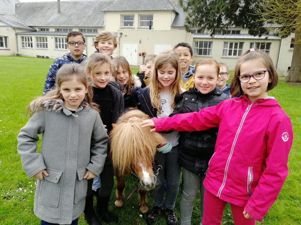 Animation sur les poneys en CE1/CE2 Animation sur les poneys en CE1/CE2