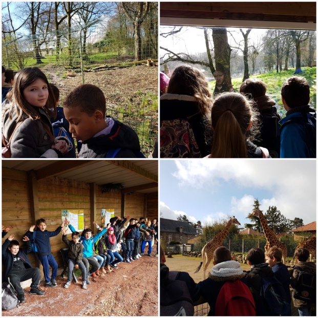 Visite du zoo de Jurques des classes de MS.GS et CE2.CM1 Visite du zoo de Jurques des classes de MS.GS et CE2.CM1
