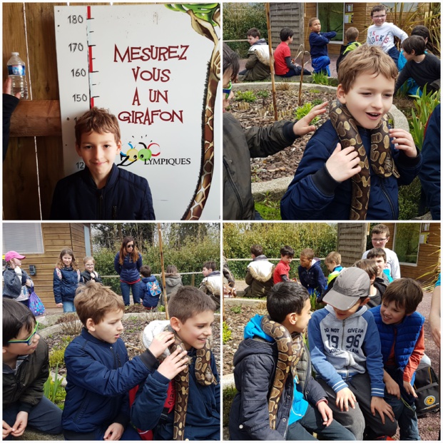 Visite du zoo de Jurques des classes de MS.GS et CE2.CM1 Visite du zoo de Jurques des classes de MS.GS et CE2.CM1