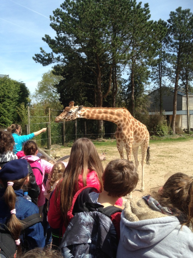 Zoo de Jurques Zoo de Jurques