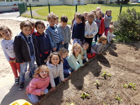 Atelier jardinage en maternelle Atelier jardinage en maternelle
