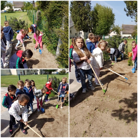 Atelier jardinage en maternelle Atelier jardinage en maternelle