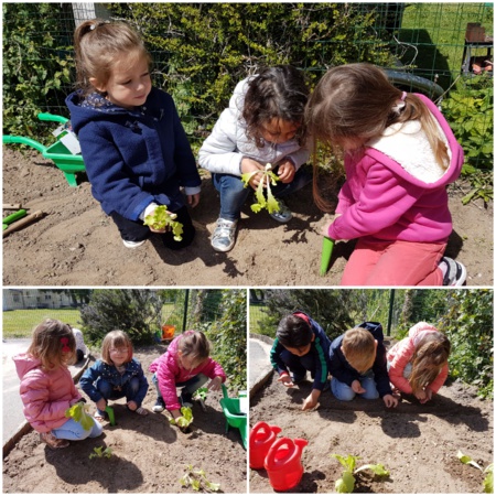 Atelier jardinage en maternelle Atelier jardinage en maternelle