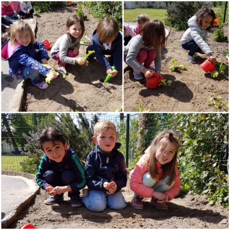 Atelier jardinage en maternelle Atelier jardinage en maternelle