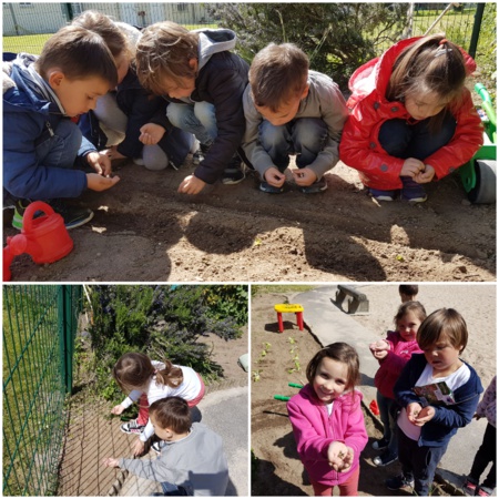 Atelier jardinage en maternelle Atelier jardinage en maternelle