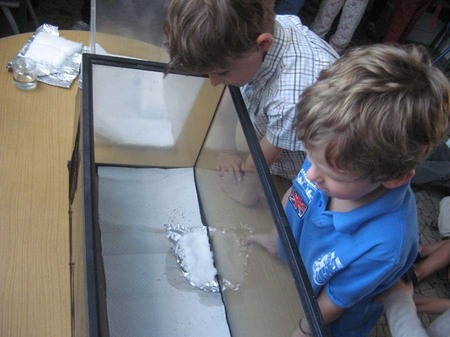 Un élevage avec les CP Un élevage avec les CP