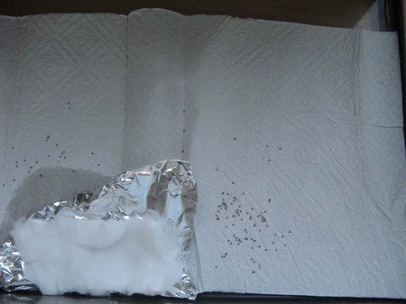 Un élevage avec les CP Un élevage avec les CP