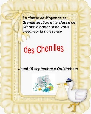 Naissance et premiers pas le même jour ! Naissance et premiers pas le même jour !