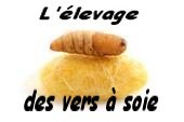 Fin de l'élevage !