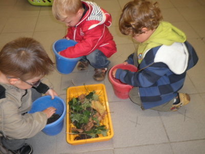 Des petits invités à coquille dans notre classe!