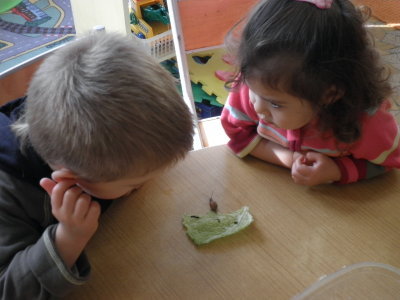 Le menu des escargots.