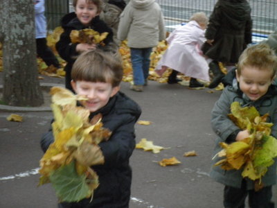 Les feuilles d'automne