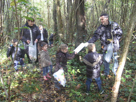 Promenons-nous dans les bois...