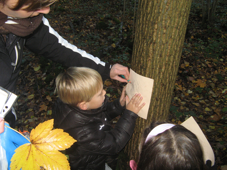 Promenons-nous dans les bois...