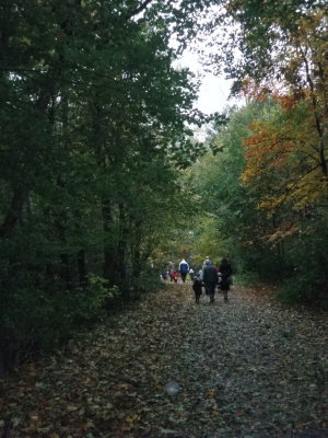 Sortie au Bois de Lébisey