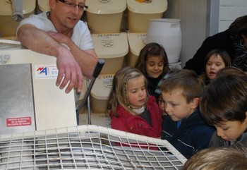 Visite à la boulangerie