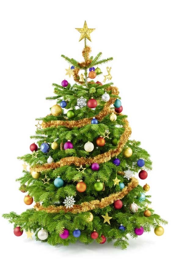 Sapin de Noël Sapin de Noël