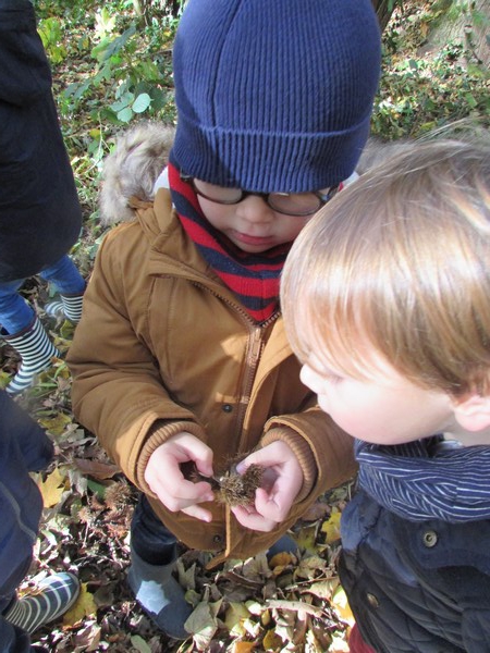 Promenons-nous dans le bois...