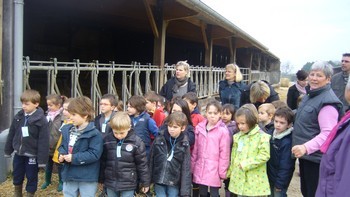 La classe de Moyenne-Grande Section à la ferme.