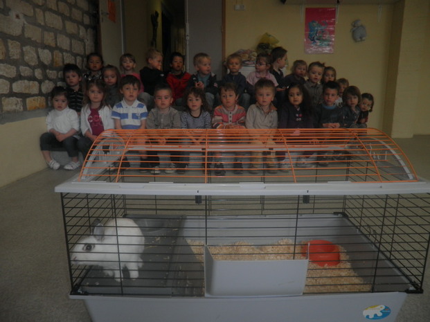 Des petits visiteurs dans notre classe!