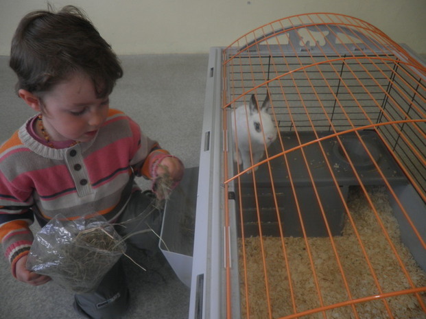 Des petits visiteurs dans notre classe!