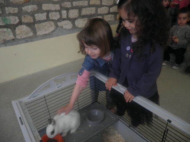 Des petits visiteurs dans notre classe!