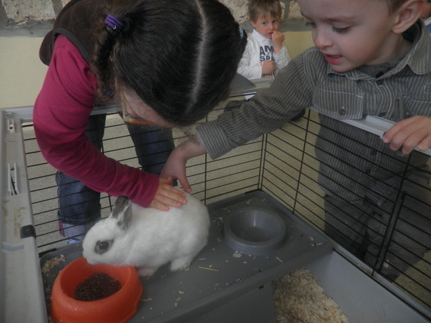 Des petits visiteurs dans notre classe!