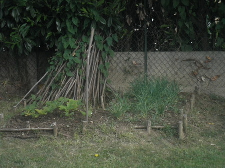 Petite leçon de jardinage.