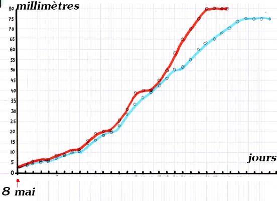 La croissance