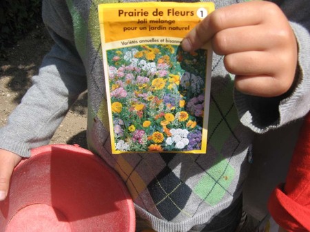 Le paquet de graine indiqué qu'il s'agissait de "Praire de fleurs". Nous avons deviné qu'il devait contenir des graines de différentes variétés de fleurs.
