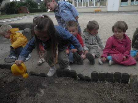 Plantation de graines