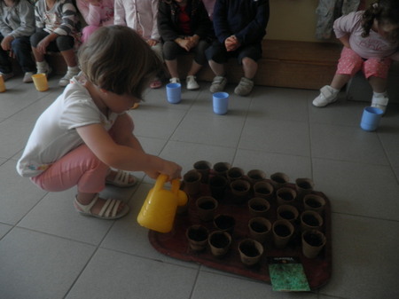 Plantation de graines