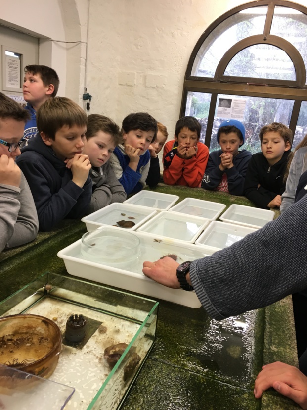 Après-midi du second jour Après-midi du second jour