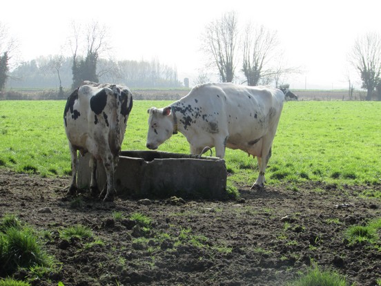 A la découverte de la ferme !