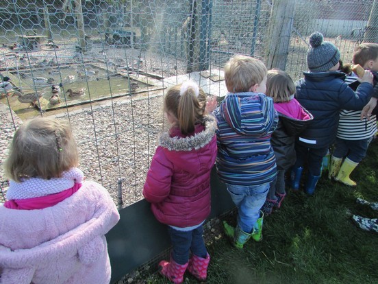 A la découverte de la ferme !