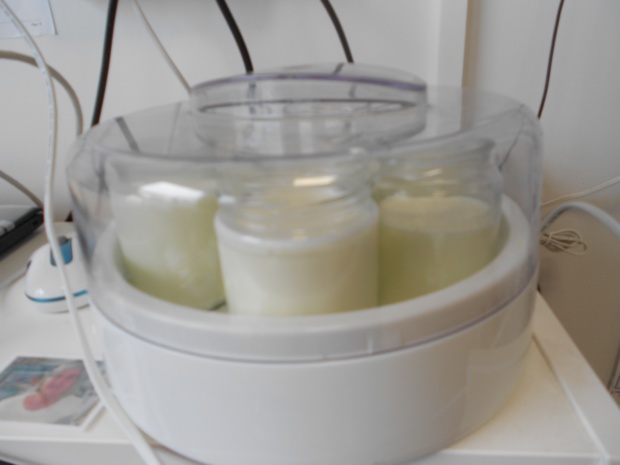 Visite de la ferme Vergy puis fabrication de yaourts ! Visite de la ferme Vergy puis fabrication de yaourts !