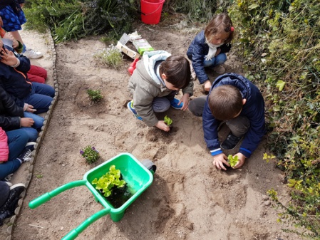 Les MS-GS jardinent ! Les MS-GS jardinent !