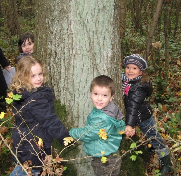 Cet après-midi, nous nous sommes rendus au bois du Caprice pour faire des récoltes d'automne.