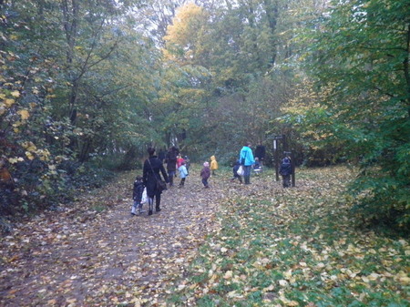 Promenons-nous dans le bois...