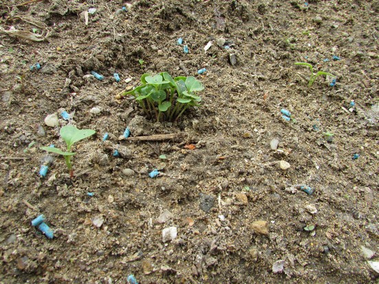 Les petits jardiniers