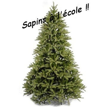 Vente de sapins