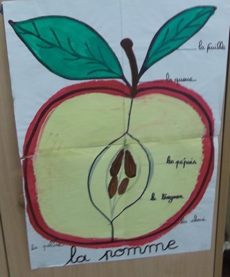 Recette de la pomme au four