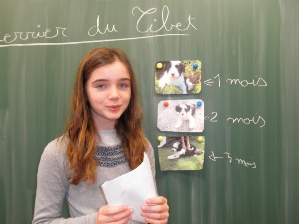 Le quoi de neuf de Marie. Le quoi de neuf de Marie.
