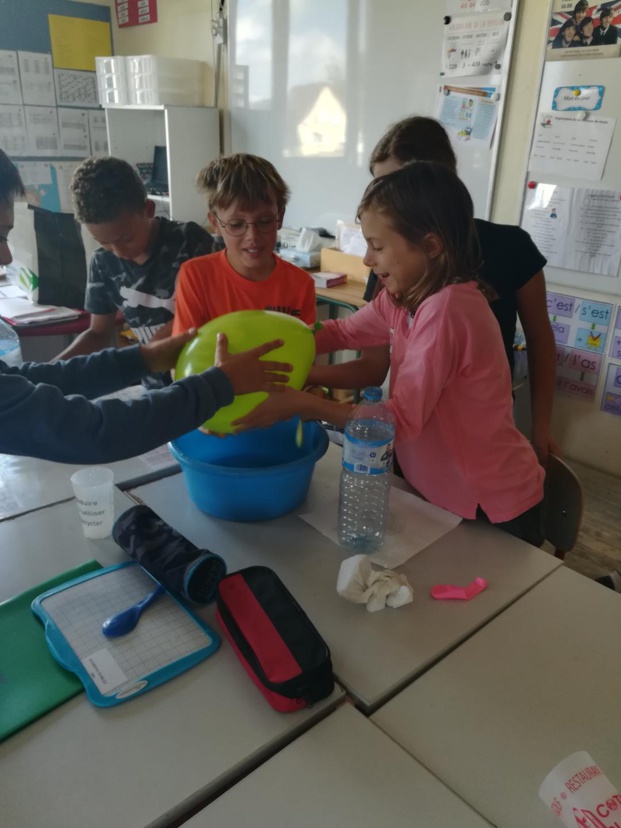 Expérience scientifique Expérience scientifique