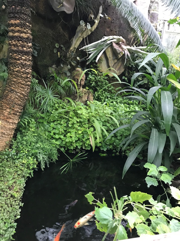 Sortie au jardin des plantes